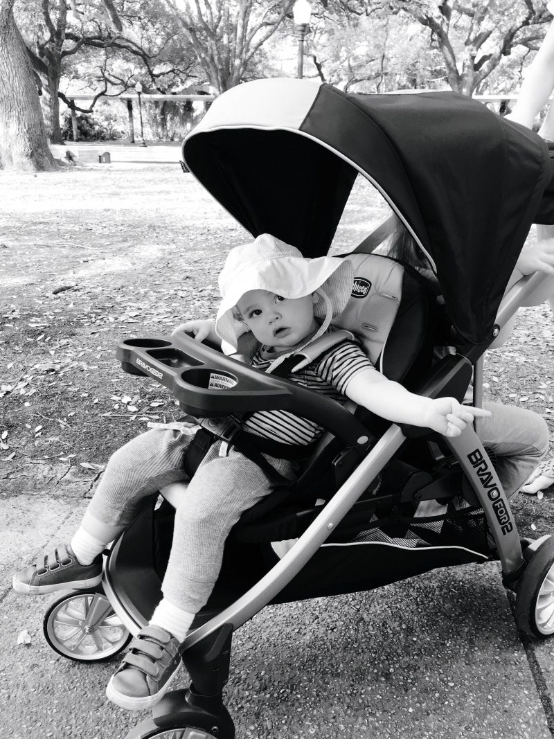 Chicco BravoFor2 Stroller Review The Stroller You ve All Been Asking About A Trip to the Zoo Veronika s Blushing