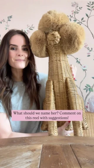 A HomeGoods & estate sale haul so good, I had to block my husband on IG 😂😂😂 (jk) WATCH TO THE END FOR RHE BIG REVEAL & comment SHOP for a link to our new family member. What should we name her? Comment below! https://liketk.it/56ti1 #grandmillennial #estatesale #homegoods #homegoodsfinds #haul #homegoodshaul